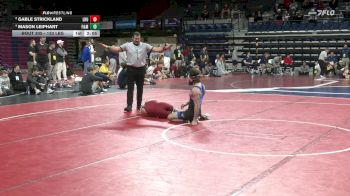 133 lbs 3rd Place - Gable Strickland, Lock Haven vs Mason Leiphart, Franklin & Marshall