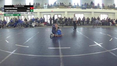 133 lbs Champ. Round 2 - Donovin Fields, Elmhurst University vs Art Martinez, Case Western Reserve