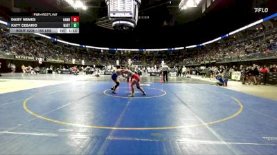 155 lbs Round Of 16 - Daisy Nemes, Hamburg Area vs Katy Cesario, Wattsburg