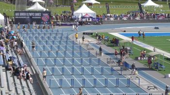 Youth Men's 110m Hurdles Aau Junior Olympics, Finals 4 - Age 17-18