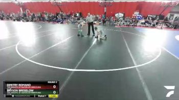 79-88 lbs Round 2 - Dimitry Romano, The Knights Of Waterloo Wrestling Club vs Bryson Breselow, The Knights Of Waterloo Wrestling Club