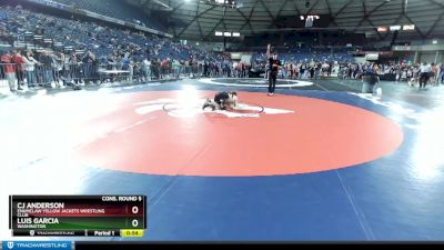 125 lbs Cons. Round 5 - Luis Garcia, Washington vs Cj Anderson, Enumclaw Yellow Jackets Wrestling Club