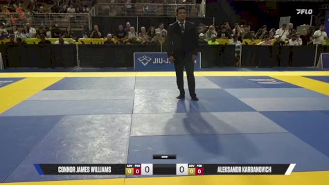 Aleksandr Karbanovich vs Connor James Williams 2025 Pan Kids Jiu-Jitsu IBJJF Championship