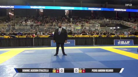 Pedro Amorim Ricardo vs Dominic Jackson Strazzella 2025 Pan Kids Jiu-Jitsu IBJJF Championship