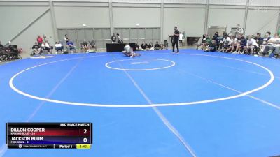 138 lbs Placement Matches (16 Team) - Dillon Cooper, Kansas Blue vs Jackson Blum, Michigan