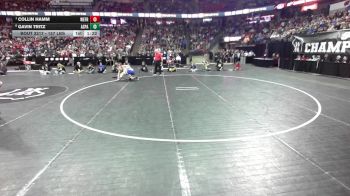157 lbs 1st Place Match - Collin Hamm, Weyauwega-Fremont vs Gavin Tritz, Assumption/Pacelli