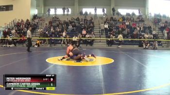 133 lbs Champ. Round 1 - Daniel Haws, Centenary University (New Jersey) vs Romeo Tsai, McDaniel College