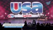 Gustavus Adolphus College - JV Song/Pom Advanced -- Large (10-23) [2023 JV Song/Pom Advanced -- Large (10-23) Day 3] 2023 USA Spirit & Junior Nationals/Collegiate Championships