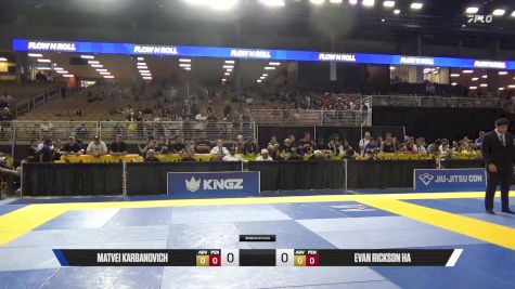 Evan Rickson Ha vs Matvei Karbanovich 2025 Pan Kids Jiu-Jitsu IBJJF Championship