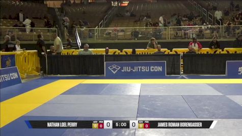 James Roman Borengasser vs Nathan Loel Perry 2025 Pan Jiu Jitsu IBJJF Championship