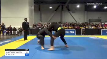 MICHAEL ANTHONY MARTIN vs VINCENT VALLEJO 2021 World Master IBJJF Jiu-Jitsu Championship