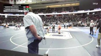 II-101 lbs Champ. Round 2 - Parker Menechino, Mount Sinai vs Mason Dellapenta, Eden