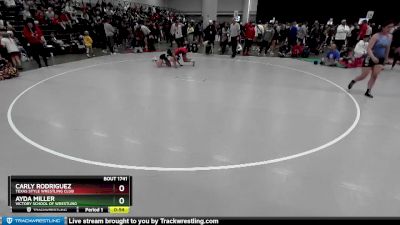 100 lbs Cons. Round 3 - Ayda Miller, Victory School Of Wrestling vs Carly Rodriguez, Texas Style Wrestling Club