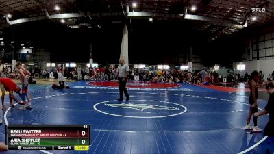 65 lbs Semifinals (4 Team) - Beau Switzer, SHENANDOAH VALLEY WRESTLING CLUB vs Aria Shifflet, CLINIC WRESTLING