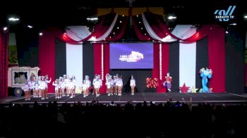 The Stingray Allstars - Gray [2024 L2 Junior - Medium Day 1] 2024 ASC Battle Under the Big Top Grand Nationals