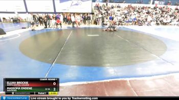 197 lbs Champ. Round 1 - Massoma Endene, Wartburg vs Elijah Brockie, North Central College