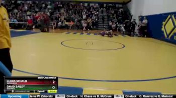 126 lbs 3rd Place Match - David Bailey, Whitmer vs Lukus Schaub, Woodmore