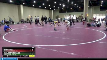 100 lbs Round 3 (6 Team) - David Hill, Alabama Elite Gold vs Walker Woodard, Troup County WC