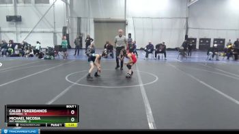 64 lbs Finals (2 Team) - Caleb Tsikerdanos, Warhawks vs Michael Nicosia, Mat Assassins