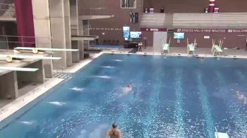 2018 OSU Invitational Diving Finals | Big Ten Mens Swim Dive
