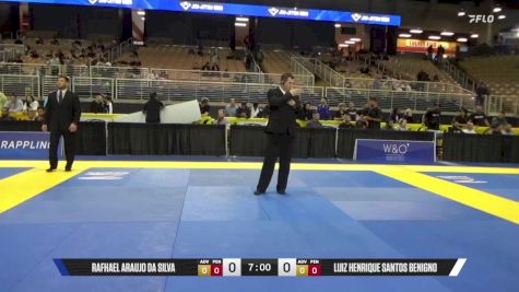 Luiz Henrique Santos Benigno vs Rafhael Araujo Da Silva 2025 Pan Jiu Jitsu IBJJF Championship