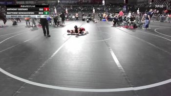 85 lbs Semifinal - Anthony Distano, Dragons vs Matthew Nowakowski, Mount Olive