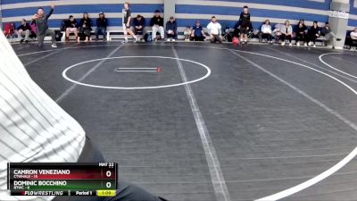 92 lbs Round 2 (8 Team) - Camron Veneziano, CTWHALE vs Dominic Bocchino, BTWC