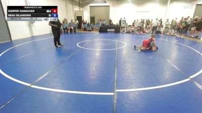 96 lbs Harper Hamacher, Minnesota Blue vs Beau Siljanoski, New Jersey