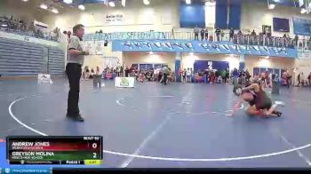 98 lbs Champ. Round 2 - Greyson Molina, Minico High School vs Andrew Jones, Weber High School