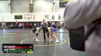 113 lbs Round 1 - CODIE CUERBO, Aurora vs Joey Calarco, North Royalton, OH