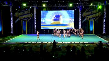 USA Wildcats - C4 [2025 Senior Level 4 1] 2025 Winners Choice Live at Foxwoods