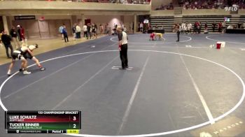 133 Championship Bracket Cons. Round 3 - Tucker Binner, Plainview Elgin Millville vs Luke Schultz, Scott West