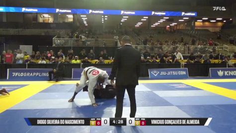 Vinicius Gonçalves De Almeida vs Diogo Silveira Do Nascimento 2025 Pan Jiu Jitsu IBJJF Championship