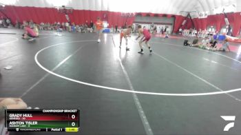 138 lbs Round 4 (16 Team) - Grady Hull, Geneseo vs Ashton Tisler, Random Lake