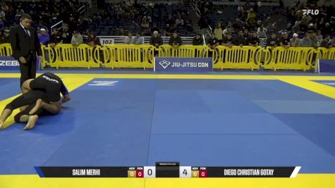 Diego Christian Gotay vs Salim Merhi 2025 Pan IBJJF Jiu-Jitsu No-Gi Championship