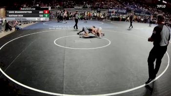 D 2 157 lbs Semifinal - Jake Brandstetter, Archbishop Rummel vs Nathan Box, Teurlings Catholic