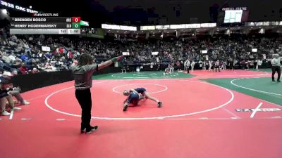 102 lbs Champ. Round 3 - Henry Hodermarsky, SLN1 vs Brenden Bosco, ARC3