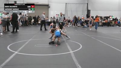 96 lbs Placement (4 Team) - Anthony Natale, PA Alliance vs Enzo DiLoreto, Hammers