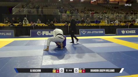 Brandon Joseph Williams vs AJ Agazarm 2025 Pan Jiu Jitsu IBJJF Championship
