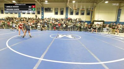 100 lbs Quarterfinal - Amelia Hough, Milford vs Brianna Santa, Putnam