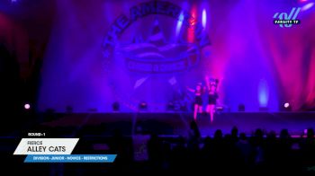 Fierce - Alley Cats [2024 L1 Junior - Novice - Restrictions 1] 2024 The American Showcase DI & DII