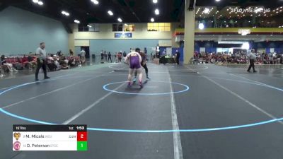 197 lbs Consi Of 4 - Matthew Micale, West Chester vs Davyn Peterson, Springfield Tech