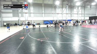 110 lbs Cons. Quarters - Bailey Gross, CNWC Concede Nothing Wrestling Club vs Aria Wing, Steelclaw Wrestling Club