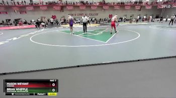 141 lbs Champ. Round 1 - Mason Weyant, Wabash vs Brian Whipple, Wisconsin-Whitewater