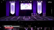 Florida Top Dog All-Stars - Mini Garnet - Lakewood Ranch [2025 USASF Cheer-Novice] 2025 Next Level Nationals