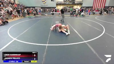 136 lbs Cons. Round 2 - Croix Gudenkauf, IA vs Andrew Pellicci, IL