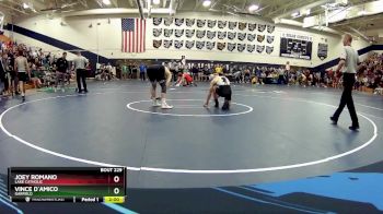 132 lbs Quarterfinal - Joey Romano, Lake Catholic vs Vince D`Amico, Garfield