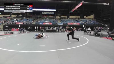 117 lbs Champ. Round 2 - Jamesa Robinson, Brewton-Parker vs 4 Cailin Campbell, Grand View