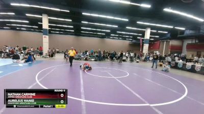 78 lbs Round 5 - Nathan Carmine, Amped Wrestling Club vs Aurelius Haake, Grapevine Wrestling Club