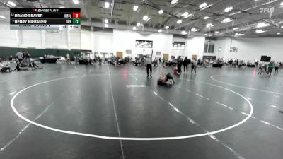 149 lbs Champ. Round 1 - Henry Niebauer, UW-Parkside vs Brand Beaver, Southwest Minnesota State